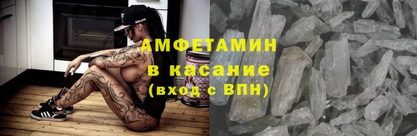 трава Пересвет