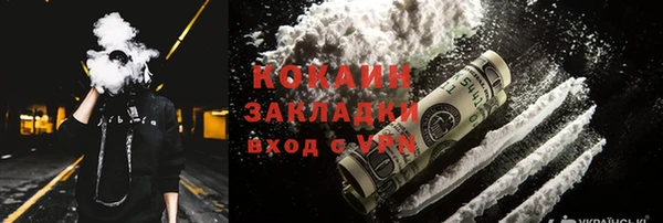 трава Пересвет