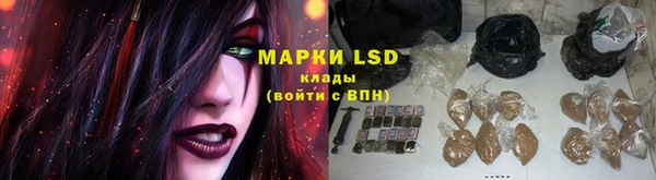 трава Пересвет