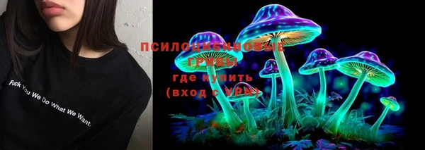 трава Пересвет