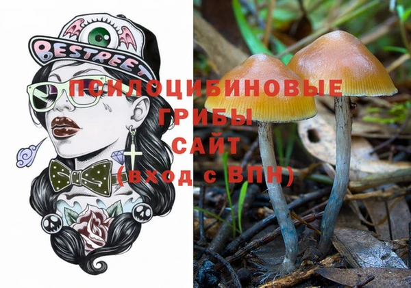трава Пересвет