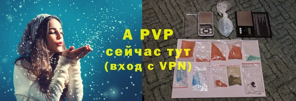 трава Пересвет